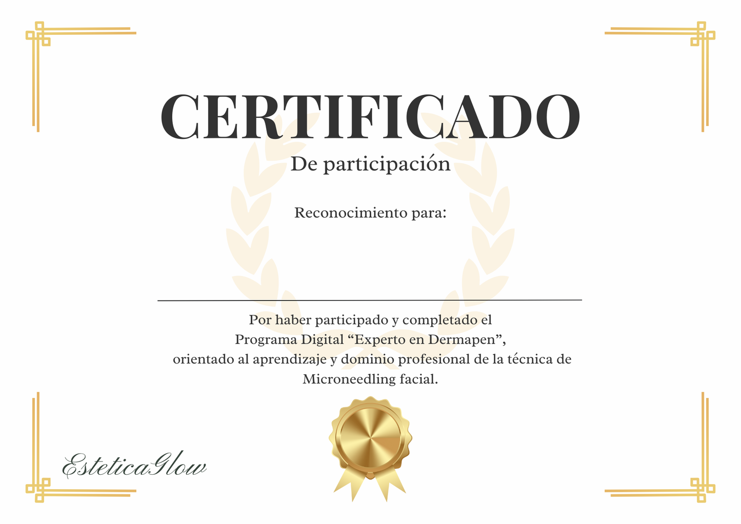 Certificado de Participación